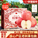 秦悅仙果鮮正宗山東煙臺紅富士蘋果新鮮水果當季整箱棲霞脆甜蘋果 9斤 【果徑75-80mm】凈重8斤