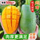感光之水正宗越南大青芒果 特大甜心芒果 新鮮孕婦水果當(dāng)季熱帶青皮芒果 精選8斤天地蓋禮盒【單果500g+】