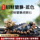 YWU輕奢汽車擺件高檔純銅車載貔貅車載中控臺(tái)車內(nèi)飾品高端男女士送禮 貔貅-藍(lán)色+貔貅虎睛石