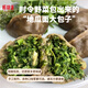 嶗味道山東王哥莊地瓜面粗糧包子薺菜雞蛋早餐速食野菜包約1kg源頭直發(fā)