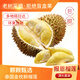 同甘園泰國(guó)進(jìn)口新鮮榴蓮老樹(shù)果新鮮整個(gè)帶殼榴蓮熱帶水果 凈重3-4斤榴蓮（保3-4房）