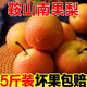 東北鞍山南果梨 遼寧特產(chǎn)南國梨新鮮梨子酒香濃郁現(xiàn)摘香水梨整箱L 精品禮盒裝-紅果 大果5斤（24個左右）
