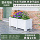 柏菲亞塑木花箱戶(hù)外陽(yáng)臺防腐木露臺庭院長(cháng)方形種植箱樹(shù)脂白色天臺大花盆 高端塑木100*40*40cm質(zhì)保20年 HDPE HDPE