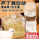 蘆丁雞喂食器小雞喂食器喂水器自動(dòng)飼料盒亞克力飲水喝水臺(tái)用品 蘆丁雞喂食器+飲水器（200ml）