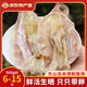 海鮮頌生曬魷魚母帶卵魷魚干海產(chǎn)品福建東山特產(chǎn)魷魚干 海鮮干貨 年貨禮 魷魚母500g約(6-15條)