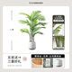黛暢仿真綠植高端輕奢散尾葵落地盆栽假花樹(shù)室內(nèi)客廳仿生植物裝飾擺件 1.2米散尾葵優(yōu)質(zhì)款 送白色圓底盆