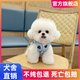 寵邁鑫純種比熊幼犬小型小體活物卷毛血統(tǒng)比熊犬茶杯寵物狗狗長不大可愛 寵物級 精品比熊 母
