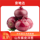 京地達山東新鮮紫洋蔥凈重3斤 單果200g+ 洋蔥頭 紅皮圓蔥 源頭直發(fā)包郵