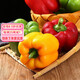 《壽光五彩椒》圓椒五彩椒柿子椒 燈籠椒 紅黃椒水果甜椒1斤5斤 【紅黃綠】 1g 2斤