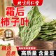 內(nèi)廷上用北京同仁堂柿子葉官方霜降后干柿子樹葉子新鮮泡煮水養(yǎng)血壓生茶包