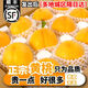 捌零鮮生物語（順豐速運）山東蒙陰黃桃水蜜桃子 黃油桃 端午節(jié)水果禮盒裝 （80%人的選擇）凈4.5斤精選裝