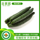 北菜園有機黃瓜300g刺黃瓜【進店多樣加購】有機新鮮蔬菜