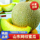 澤華果品山東網(wǎng)紋蜜瓜 玫瓏冰淇淋蜜瓜當(dāng)季新鮮水果整箱 凈重3.5-4斤2-3個(gè)網(wǎng)紋蜜瓜