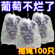自帶抽繩】葡萄水果套袋防蟲防鳥防雨水果網(wǎng)袋無花果透氣防寒布 果農(nóng)推薦：通用款【200個(gè)】高密度/反復(fù)使用 葡萄瓜果袋【防蟲防鳥+透光透氣】