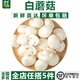 千牛優(yōu)福新鮮白蘑菇500g 食用菌菇網紅烤蘑菇食材 現摘雙孢菇煲湯蔬菜順豐 250g