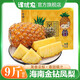 譯優(yōu)農海南金鉆鳳梨新鮮水果應季手撕鳳梨香水大菠蘿特產(chǎn)無(wú) 5斤裝【2-3個(gè)】阿姨手工精選