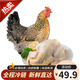 云依禾農(nóng)莊 農(nóng)家土雞老母雞新鮮200天 整雞 凈重1kg/只 生鮮整只
