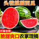 甜果源 8424麒麟西瓜 脆甜薄皮冰糖西瓜美都甜瓜時(shí)令應季新鮮水果 凈重6-7斤【嘗鮮裝】