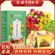朕皇北京同仁堂蒲公英金桔茶熬夜上火輕顏去清祛痘排毒養(yǎng)生茶150g/盒 