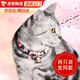 美悅寵物日本和風(fēng)貓咪項圈除跳蚤貓圈帶鈴鐺防跳蚤狗狗頸圈貓脖圈寵物用品 藏藍(lán)色櫻花適合3-15斤（2只裝） 均碼（19-30）厘米
