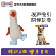 宜特（EETOYS）藍(lán)腳怪鳥狗狗玩具乳膠發(fā)聲寶藏系列獨處陪伴解悶狗玩具寵物用品