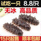 念參堂 單只即食海參長島大連刺參海鮮水產(chǎn) 單只裝 32-36g( 8-9厘米)：1只