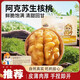 三只松鼠核桃休閑0添加原生態(tài)薄皮紙皮核桃袋裝腦補(bǔ)解饞辦公零食 紙皮核桃 500g*1袋