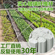 農(nóng)用拱棚支架實(shí)心玻璃纖維桿菜棚大棚骨架小拱棚育苗棚家用支架 100根拱棚桿(反復(fù)使用) 5毫米粗*2.4米長(zhǎng)