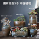 仟尚藝手工多肉花盆陶瓷粗陶透氣大號口徑老樁陶罐個(gè)性創(chuàng  )意多肉植物陶盆 玩美組合5個(gè) 圖上有尺寸