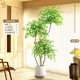 仿真綠植南天竹假植物高端輕奢客廳裝飾樹(shù)室內大型盆栽落地擺件 南天竹1.8米3頭【升級超密款】+