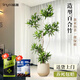 臨雅百合竹盆栽辦公室內客廳擺件輕奢造型大型綠植物1.4m含盆源頭直發(fā)