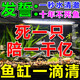 魚(yú)缸凈水劑一滴清消毒殺菌養(yǎng)魚(yú)水質(zhì)清澈劑免換水去綠水黃水渾水用 魚(yú)缸一秒凈5瓶【買(mǎi)3送2】