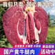 國產(chǎn)黃牛肉鮮牛肉鮮切牛后腿肉散養(yǎng)黃牛健身牛肉5斤商用新鮮牛肉 新鮮牛后腿 5斤