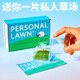 私人草坪苔蘚微景觀室內(nèi)辦公室桌面綠植盆栽解壓盆栽創(chuàng)意種植物 迷你私人草場