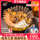 燈火島佛跳墻大盆菜2000g 加熱即食預(yù)制菜方便菜 春節(jié)年貨送禮海鮮禮盒 【十參十鮑十蝦-遼刺參】 1箱
