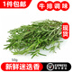 桃李村【順豐】新鮮煎牛排用調味料香料烘焙裝飾香草 迷迭香50g