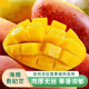 趣嘗鮮海南貴妃芒 8斤裝200g+ 生鮮水果源頭直發（需18℃以上3-5天）