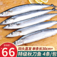 海皇灣2 件減 20】新鮮秋刀魚 深海刀魚日式燒烤食材生鮮魚類 5-7條/包 【嘗鮮秋刀魚】500g*2袋