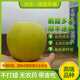 豐碩優(yōu)果 RICH AND EXCELLENT FRUIT陜西白水瑞雪蘋(píng)果脆甜綠蘋(píng)果二級果專(zhuān)拍 凈重4.5斤 微瑕疵【JD】單果70-75