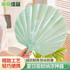 巢極佳品扇子夏季塑料芭蕉扇加厚耐用一體手搖扇葵扇家用兒童驅蚊小圓扇子