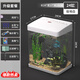 最萌魚(yú)缸新款家用小型觀(guān)賞魚(yú)魚(yú)缸三合一節能水泵過(guò)濾制氧一體機烏龜缸 24X17X28（帶蓋升級套餐）