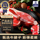 鮮羅紀(jì)進(jìn)口原切安格斯牛腱子肉1kg2斤裝 冷凍生鮮谷飼牛肉食材 48H排酸 