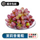 芒司令【順豐】精品茉莉香葡萄新鮮采摘著(zhù)色香玫瑰香味甜孕婦網(wǎng)紅水果 【茉莉香葡萄】2斤