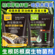 歡能枯草芽孢菌桿菌哈茨木霉微生物菌劑農(nóng)用土壤微生物菌劑有機(jī)肥根腐 枯草芽孢桿菌1KG+哈茨木霉菌1KG
