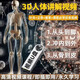 捷速優(yōu)3D人體結構講解教學(xué)U盤(pán)人體骨骼3D動(dòng)態(tài)演示動(dòng)畫(huà)課程視頻教程優(yōu)盤(pán) 3D立體人體解剖視頻全套教學(xué)U盤(pán) 【3D人體骨骼肌肉內臟動(dòng)畫(huà)視頻】