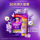 金紡柔順劑衣物 持久留香防靜電護(hù)理柔軟劑 【嘗鮮裝】抗皺薰衣草860g