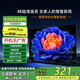 欣王牌 32/40/65/70/75/80/85/90/100寸液晶電視4K高清客廳大尺寸網(wǎng)絡(luò)智能大屏巨幕平板投屏家用LED電 40-LED【網(wǎng)絡(luò)版】長(zhǎng)74cm寬44cm