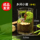 苔蘚微景觀(guān)創(chuàng  )意禮物鄉間小屋辦公室桌面盆栽綠植減壓diy生態(tài)瓶 鄉間小屋（成品發(fā)貨）
