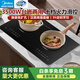 美的（Midea）電磁爐家用3500w大功率 嵌入式雙灶 大線圈一體面板電池爐 臺嵌兩用 升級款  十檔滑控 C2-2ST3504【雙灶電磁爐】