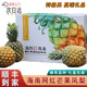 傾睦海南芒果鳳梨樹上熟【順豐】熱帶當季菠蘿非金鉆鳳梨新鮮水果禮盒 4.5-5斤特級中果【3個】